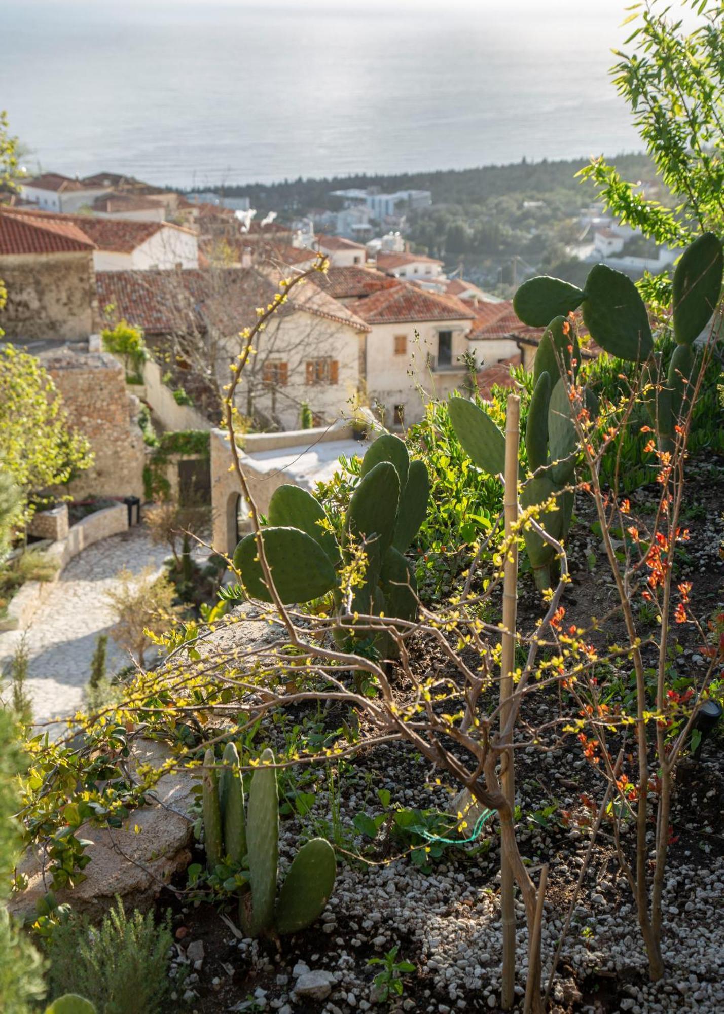 Zoe Hora Hotel Dhermi Bagian luar foto